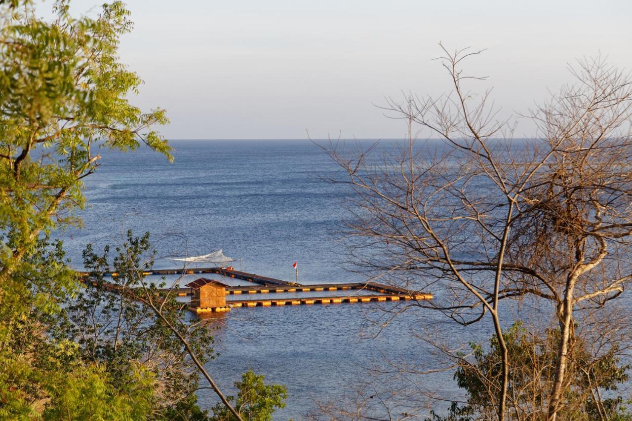 Menjangan Ecolodge - Chse Certified Banyuwedang Exterior photo