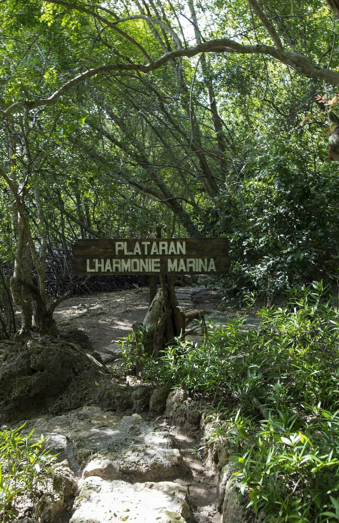 Menjangan Ecolodge - Chse Certified Banyuwedang Exterior photo